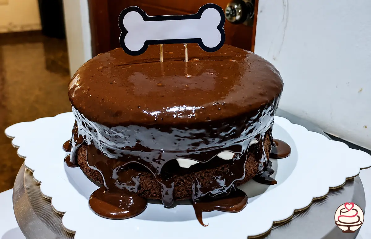 Torta de chocolate con cobertura de fudge y adorno en forma de hueso
